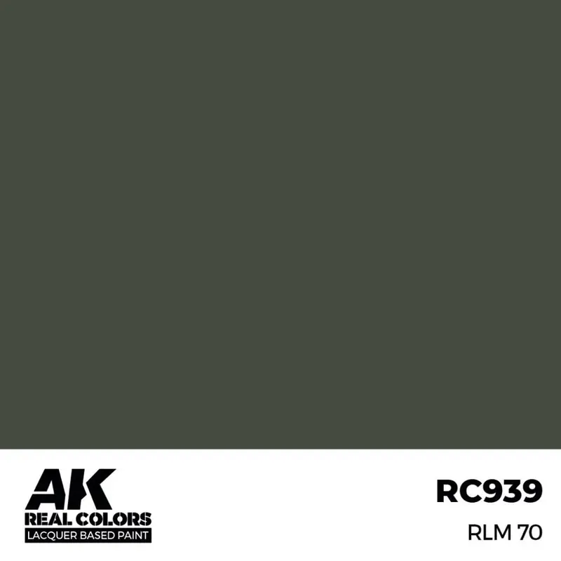 Ak Interactive Rc939 Real Colors Rlm 70 17Ml Lacquer Paint 2