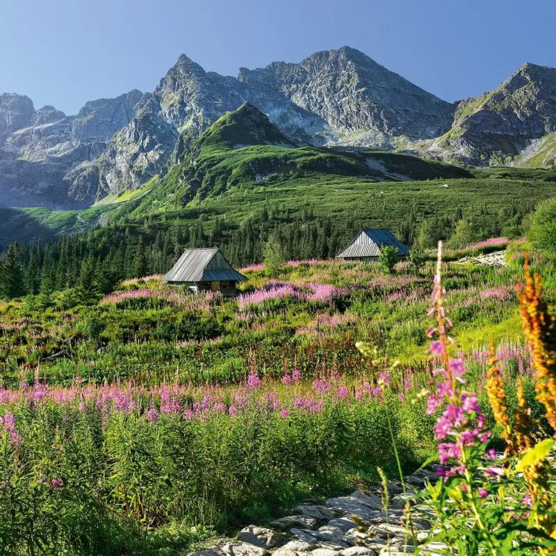 Cherry Pazzi 30059 Gasienicowa Hall In Tatras 1000Pc Jigsaw Puzzle 2