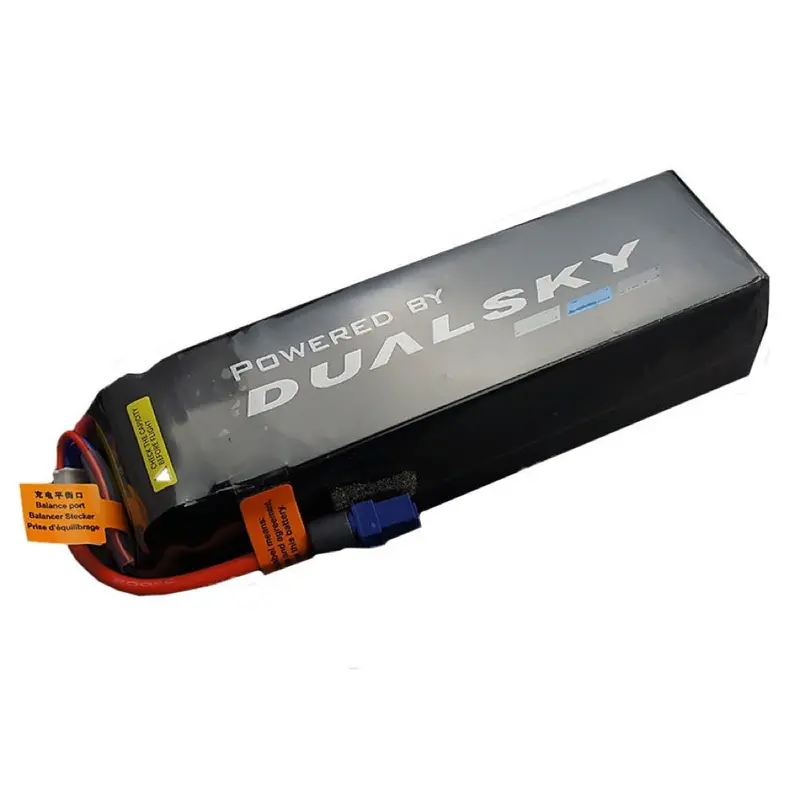 Dualsky Dsb31843 5900Mah 5S 18.5V 45C Hed Lipo Battery 1