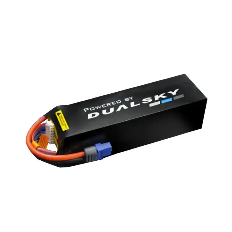 Dualsky Dsb31953 900Mah 6S 22.2V 120C Lipo Battery 1