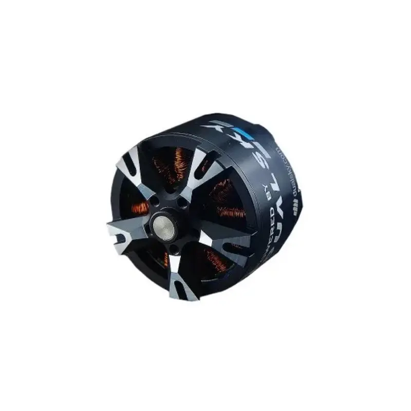 Dualsky Dsxm51871 Xm6360ea-19 220Kv Brushless Motor 1