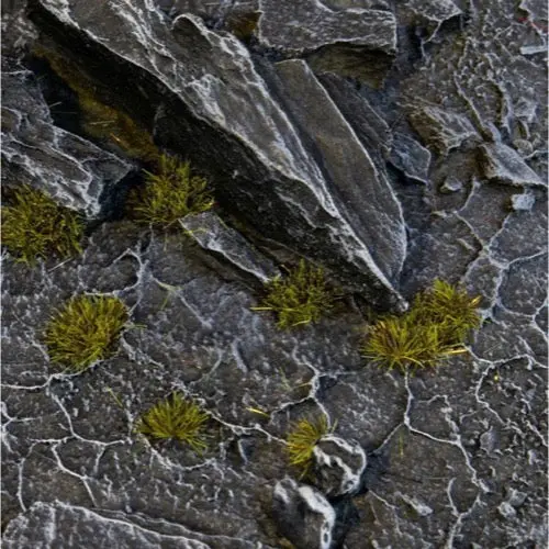Gamers Grass Ggtt-Dm Tiny Tufts Dark Moss 2Mm 1