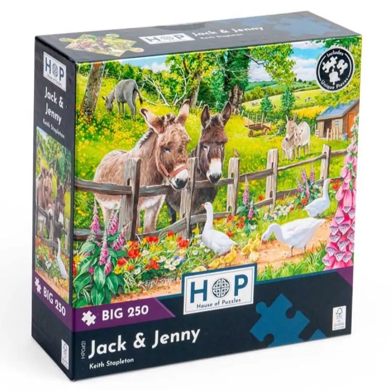 House Of Puzzles Jack & Jenny Large Format 250Pc Jigsaw Puzzle 1