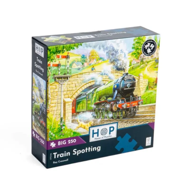 House Of Puzzles Train Spotting Large Format 250Pc Jigsaw Puzzle 1