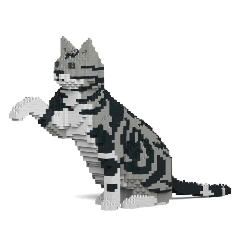 Jekca St19asc03-M01 American Shorthair Cat 03S 1