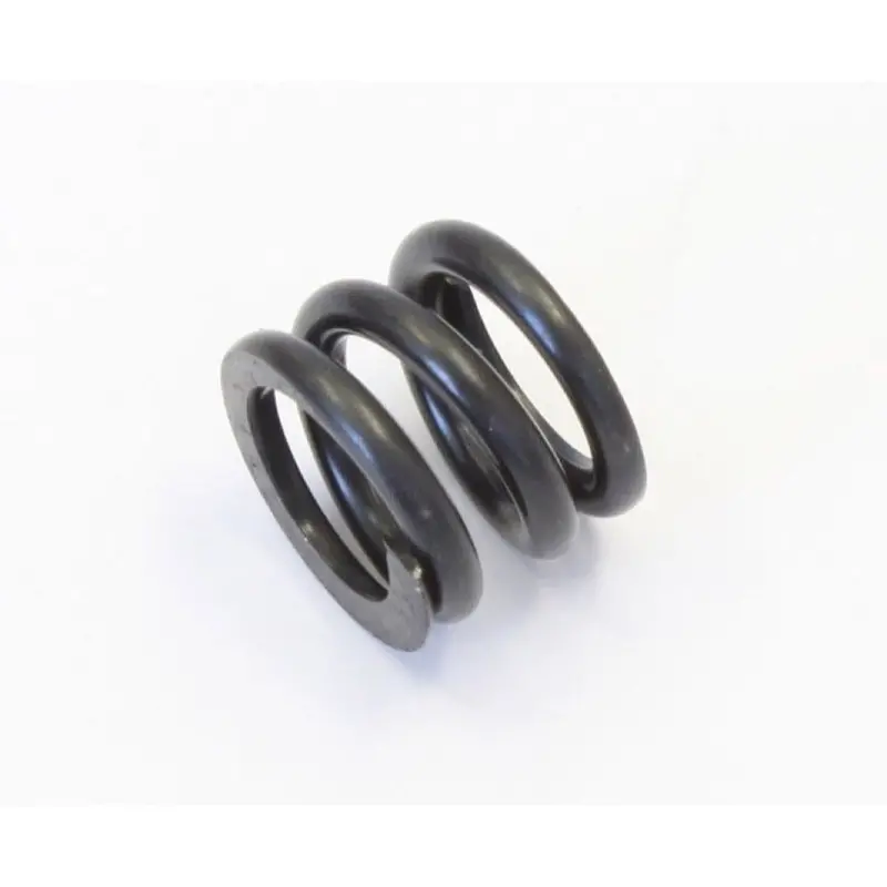 Kyosho Sx007 Slipper Clutch Spring (Scorpion Xxl) 1