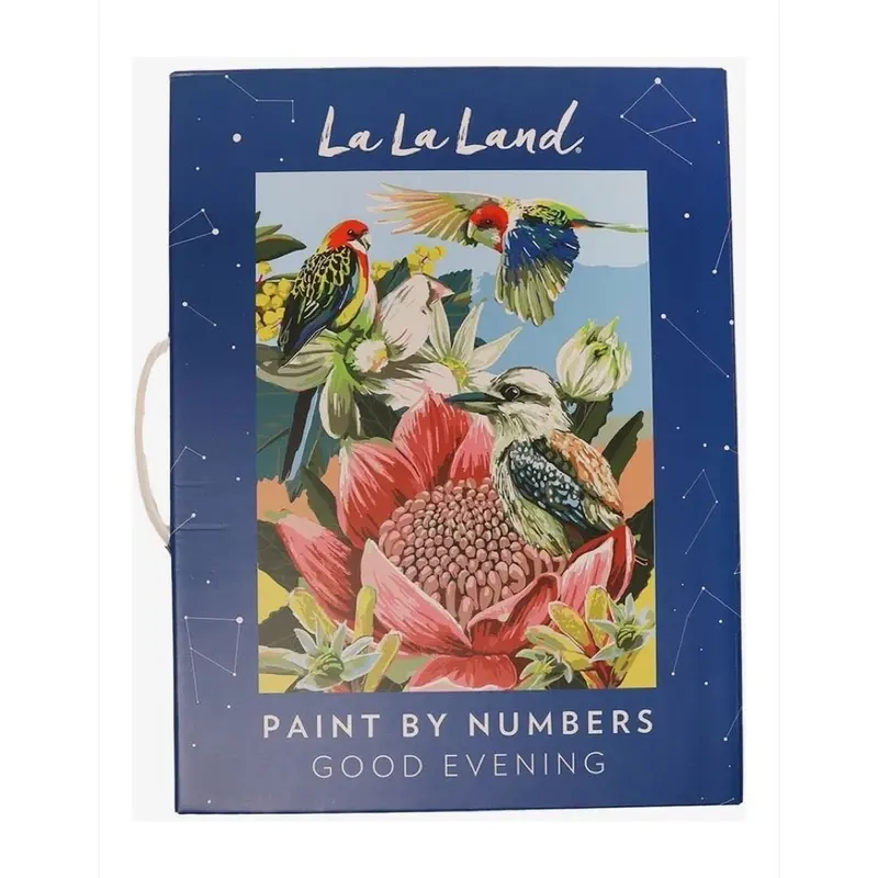 La La Land Paint By Numbers Good Evening 1