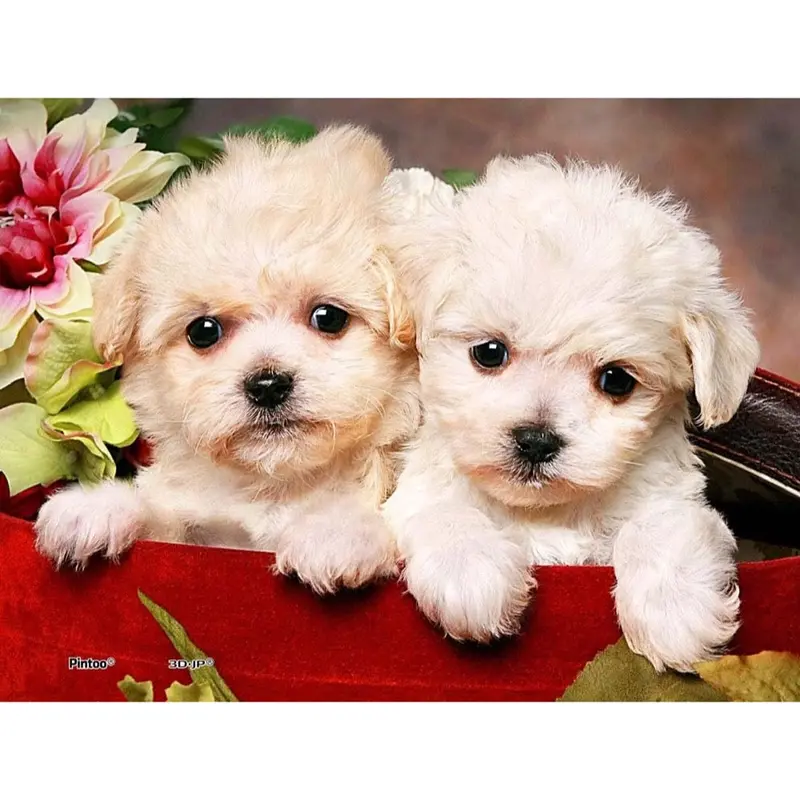 Piece Relax Puppies In Gift Box 150Pc Plastic Jigsaw Puzzle 1