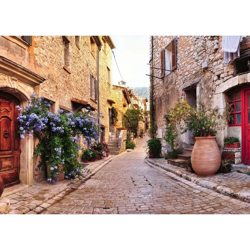 Ravensburger 00025-9 Mediterranean France 1000Pc Jigsaw Puzzle 2