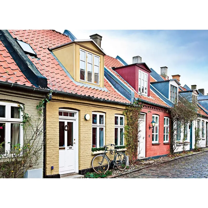 Ravensburger 00113-3 Aarhus Denmark 1000Pc Jigsaw Puzzle 2