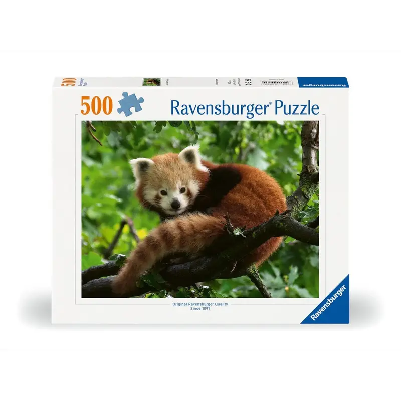 Ravensburger 00369-4 Red Panda Photo 500Pc Jigsaw Puzzle 1