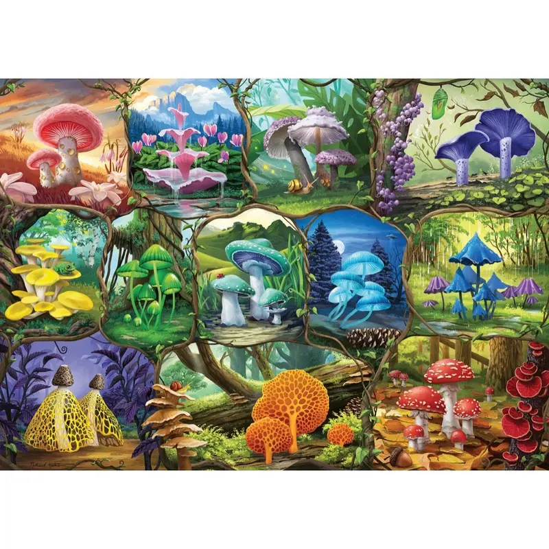 Ravensburger 00424-0 Beautiful Mushrooms 1000Pc Jigsaw Puzzle 2