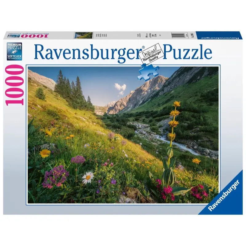 Ravensburger 00484-4 Magical Valley 1000Pc Jigsaw Puzzle 1