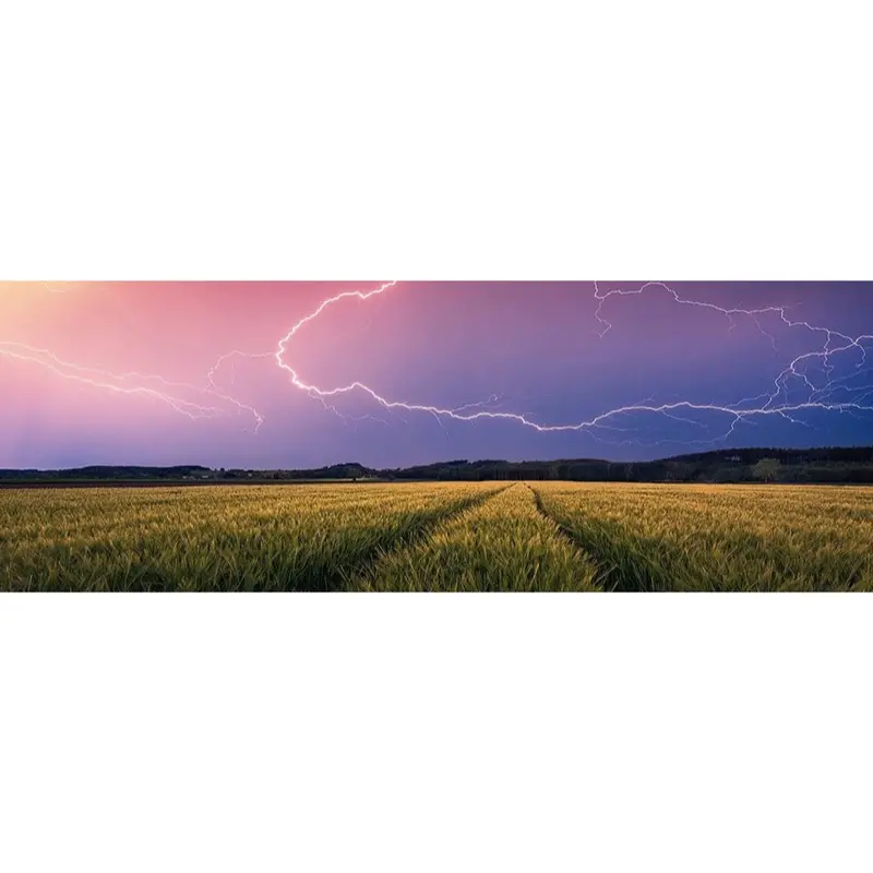 Ravensburger 00685-5 Summer Thunderstorm 500Pc Jigsaw Puzzle 2