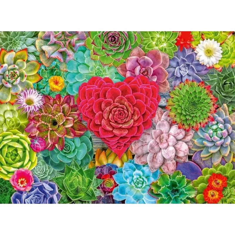 Ravensburger 01469-0 Succulent Love 500Pc Jigsaw Puzzle 2