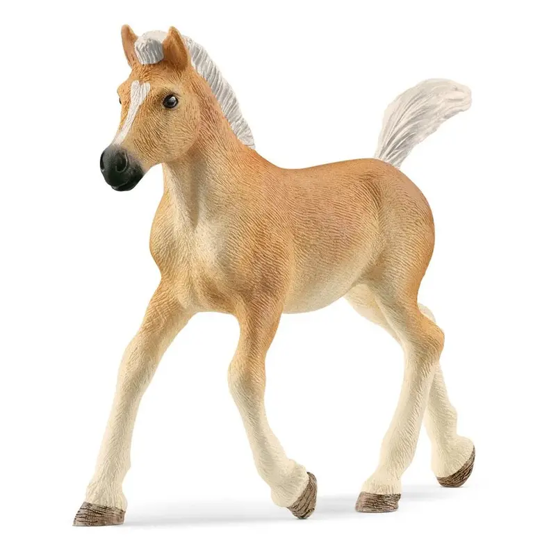 Schleich 13951 Haflinger Foal 1
