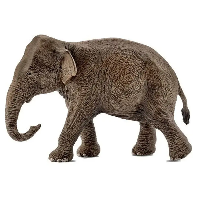 Schleich 14753 Asian Elephant Female 1
