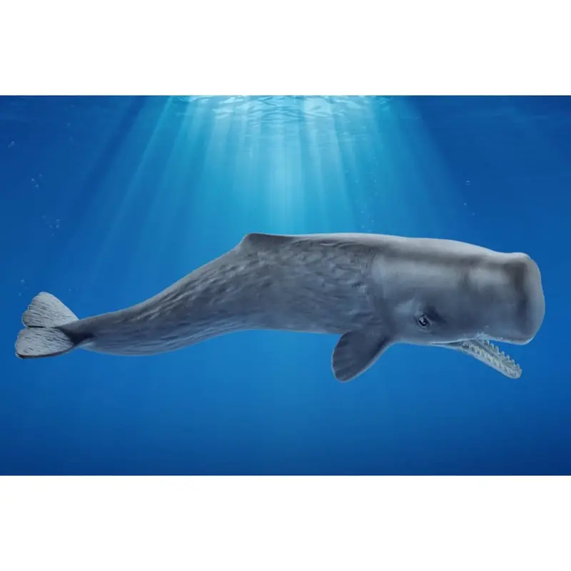 Schleich 14764 Sperm Whale 2
