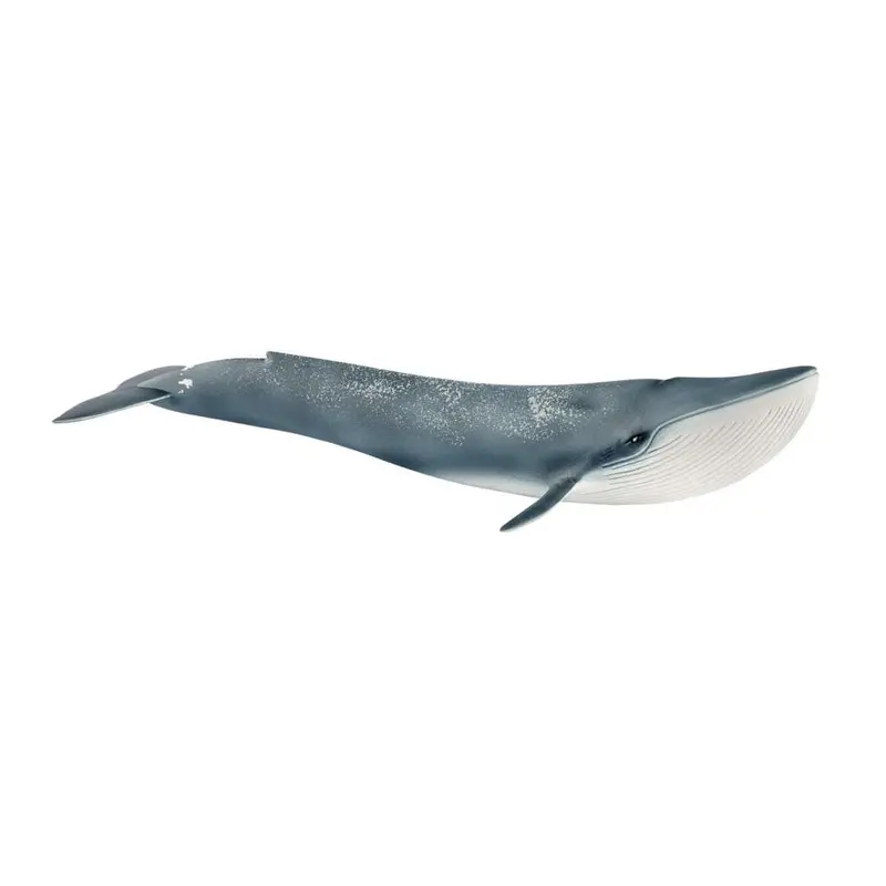 Schleich 14806 Blue Whale 1