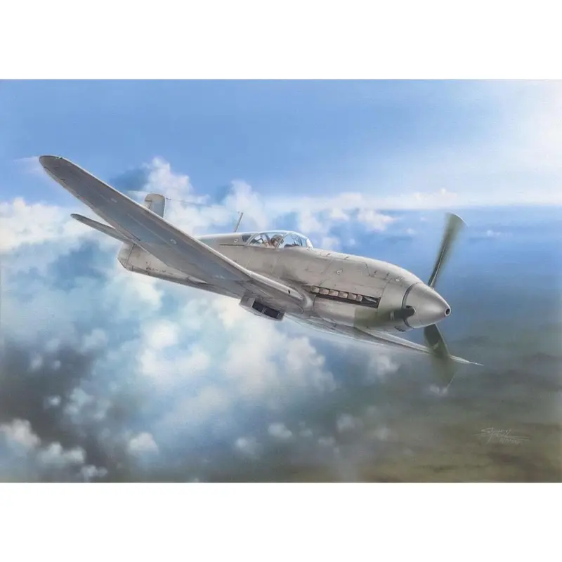 Special Hobby 32045 1/32 Heinkel He 100D Soviet And Japanese Test Plane 1