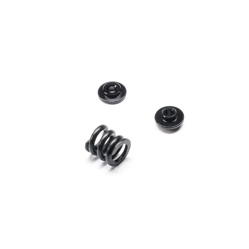 Tlr 1131 Slipper Spring Set 22X 1