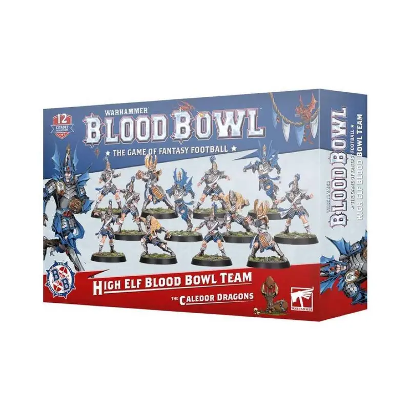 Warhammer Blood Bowl High Elf Blood Bowl Team 1